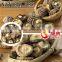 Natural Dry Shiitake Mushrooms Bulk Dried Mushrooms
