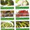 Frozen Mix Vegetables ( Beans - Peas - Carrots - Broccoli- Okra - Molokai - Spanish - French fries ...)