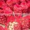 Onion sale With new crop
