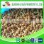 New season iqf nameko mushroom export price
