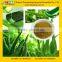 GMP Factory Supply High Quality Aloe Vera Plant Extract