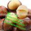 Queensland Nut cracker/Queensland Nut cracking machine/Queensland Nut cracker machine