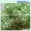Wholesale fresh flowers preserved flowers from china home decor preserved hydrangea