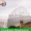 High Quality Cheap Single Tunnel Plastic Greenhouse