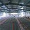 control shed equipments chicken farm local houses in africa