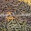 biomass wood pellet machine pellet fuel hydraulic biomass briquette product line