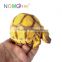 NOMOY PET china wholesale cute resin turtle figurines hot sale