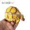 Nomo fast ship realistic small pet articles resin madagascar tortoise model