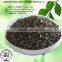 based wood based and coconut shell activated carbon