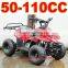 Kids 50cc Quad ATV 4 Wheeler