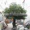 LXY072302 China wholesale plastic artificial ficus tree banyan tree for outdoor