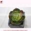Artificial min bonsai potted wholesales artificial mini plant.Chinese factory