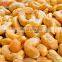 Factory Supply Macadamia Nut Spice Green Beans Roasting Machinery Sesame Baking Machine