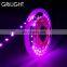  express colorful 60leds 12v 24v 1080lm/m smd 5050 addressable rgb led strip