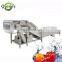 Industrial Beetroot Bubble Washing Machine Ozone Type Tomato Washer Machine