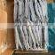 Frozen Pacific Saury for Bait