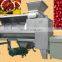 CHINA Factory customized fruit and vegetable processing machine used in fruit and vegetable processing