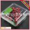 food grade plastic PET fruit and food tray