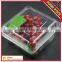 food grade plastic PET fruit and food tray