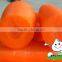 China Baby Carrot,New harvest fresh Carrot with Bright color