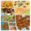 CE ISO High Quality Fried Flour Bugles Snacks Food processing line