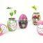 Magic egg, ceramic egg planting, new product