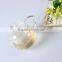 pyrex wholesale glass teapots with infuser /coffee tea set / blooming tea pot