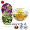 Fragrant Purple Perilla Seed Oil