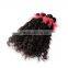 clip on human hair extension /clip in human hair/clip hair /clip hair extension/clip on /in human hair extension/hair product