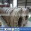 top quality galvanized steel strip for packing application