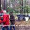 China cheap drum wood chipper