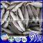 Frozen Round scad fish Whole Round,Round scad mackerel
