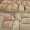 Fresh Chestnut 140-160 pcs Specification in 10kg Bag
