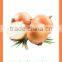 bulk chinese Best quality fresh yellow onion