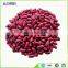 2015 red kidney bean dry bean price red Kidney Beans