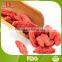 Top quality organic FD goji berries powder from China