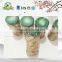 China Food Canned Champignon Mushroom