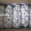 China Fresh Cheap Price Garlic