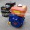 Chinese brand gasoline engine wiht HP7.0, HP7.5,GX220, 170F gasoline engine