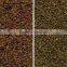 Mini Grains Color Sorter Equipment with Superb After-sale Service