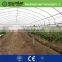 clear plastic film for greenhouse