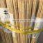 Nature Bamboo Pointed End Poles For BBQ