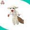 Professional Hand Puppets Can Make Your Own Design