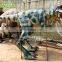 Realistic Dinosaur Costume Made in China