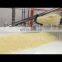 HG-PC500 compound potato chips frying machine