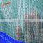 Blue PP edge green construction  safety nets
