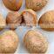Good quality BK 180 Encrusting And Forming Machine Falafel/ Kibbe/ Kebbe Making Machine