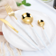 High Quality Red and Gold Brushed Golden Colored Matte Plated Wedding 304 Stainless Steel Cutlery Flatware Set for Hotels