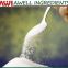 Food Additive Sucralose Powder / Sucralose CAS 56038-13-2
