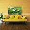 animal series Painting Printed on canvas For living room new arrival